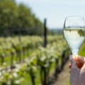 Elevate Your Wine Experience With These Top English Sparkling Wine Types and Reds