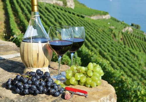 The World's Most Delicious Wines: An Expert's Perspective