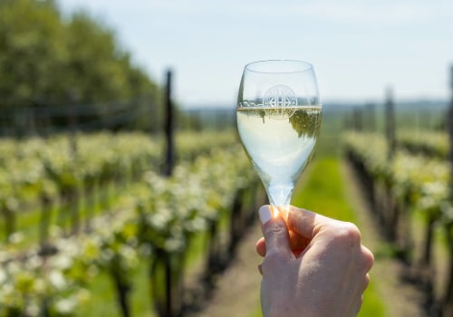 Elevate Your Wine Experience With These Top English Sparkling Wine Types and Reds